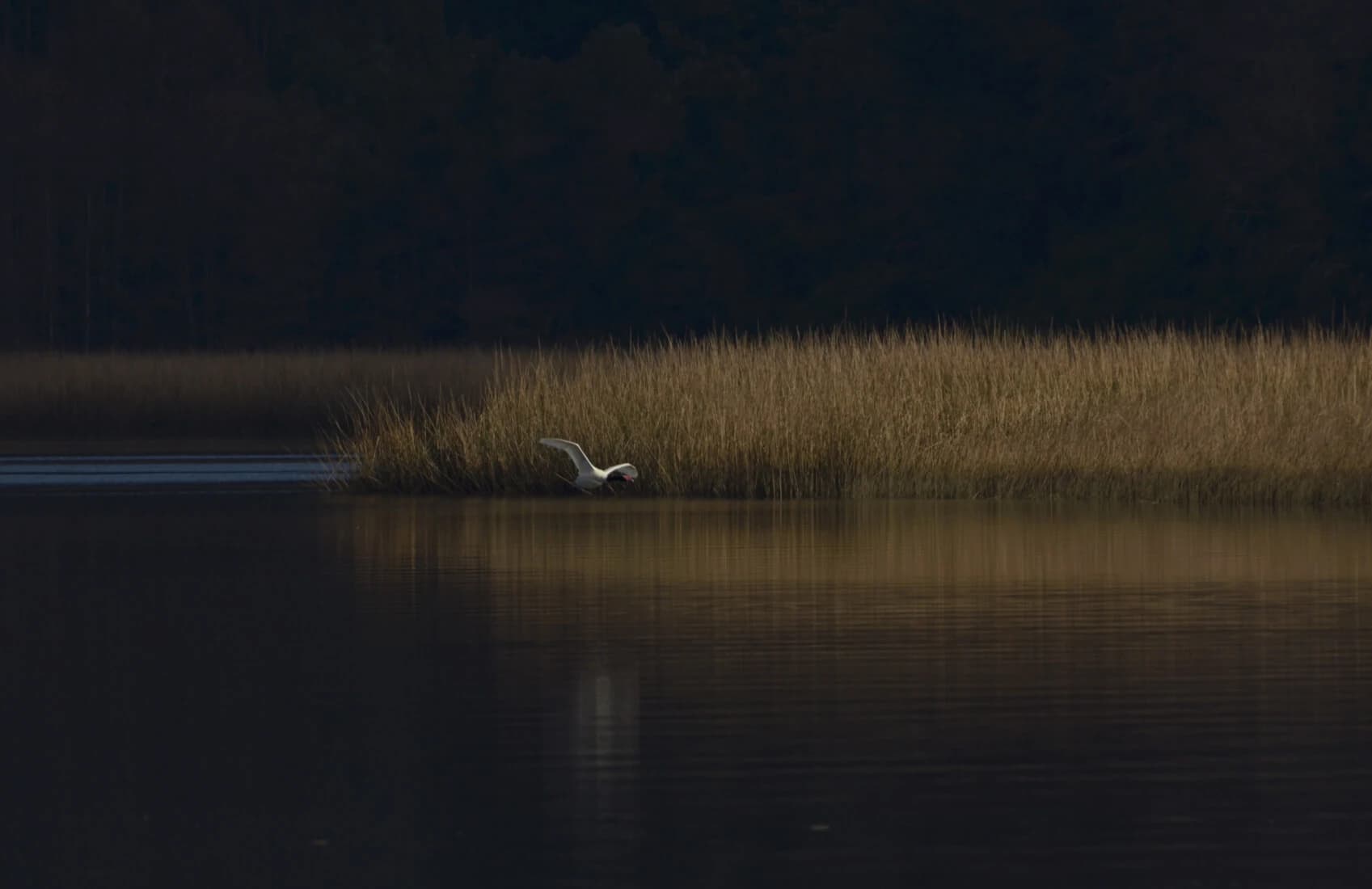 Vista panorámica de Valdivia, Región de Los Ríos - Propiedades en venta y arriendo