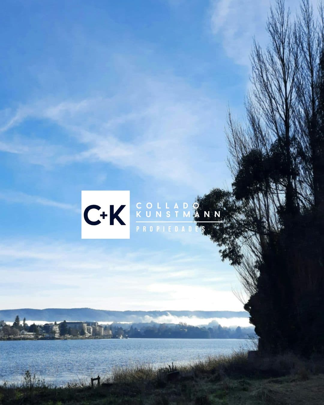 Sitio en Las Animas, Valdivia - Imagen 4